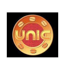 Resistencia 2 grupos 4000w 110v