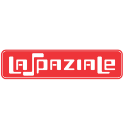 Relé estatico 40a spaziale