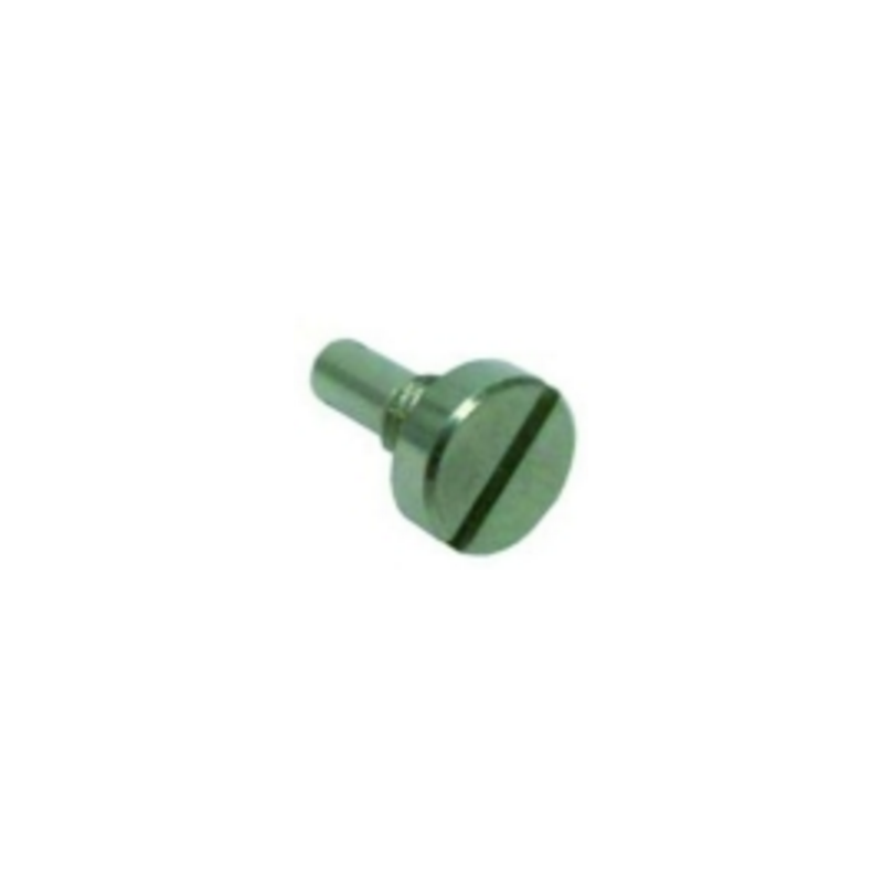 Tornillo eje puerta jemi Tornillo eje puerta jemi