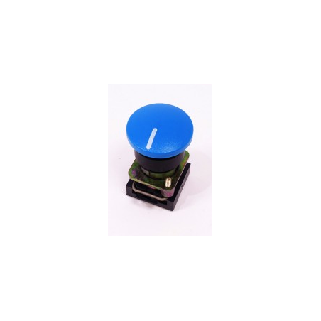 Interruptor pulsador azul miniwip/g