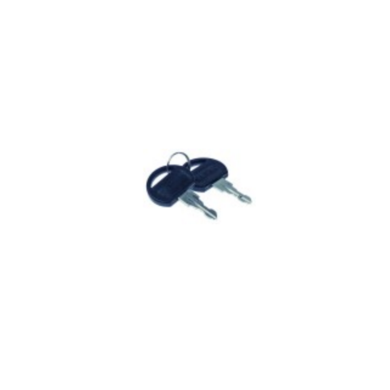 Llave par para cilindro de cerradura 692317