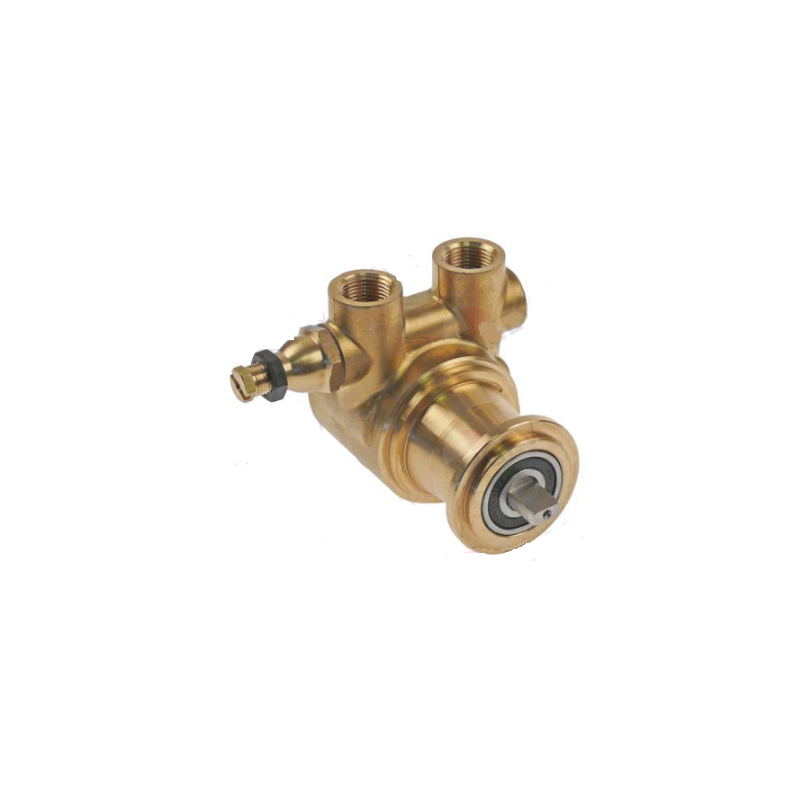 Cabezal bomba po204 fluid-o-tech cafetera FLUID-O-TECH Cabezal bomba po204 fluid-o-tech cafetera FLUID-O-TECH
