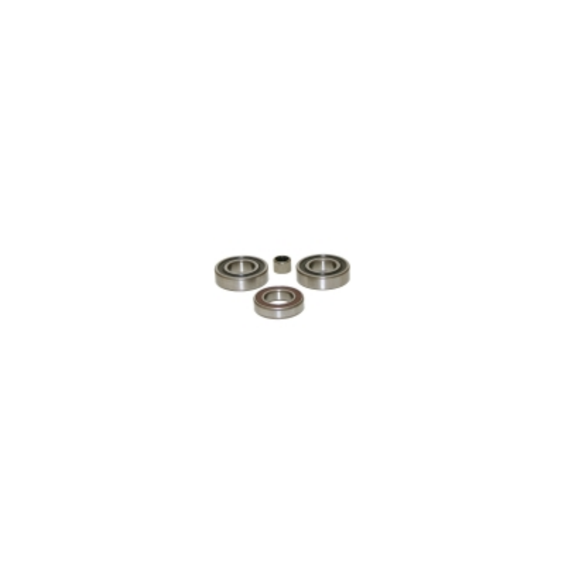 Conjunto cojinetes batidor sammic