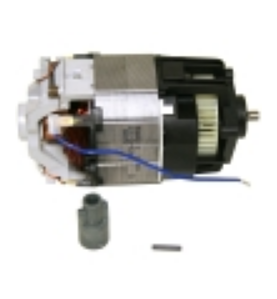 Motor 750w triturador sammic