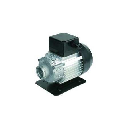 Motor para bomba abrazadera 230v standard