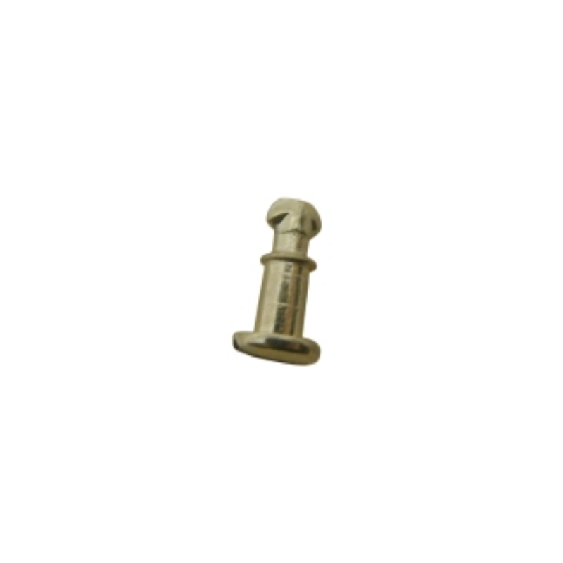 Tornillo protector grupo s40 la spaziale