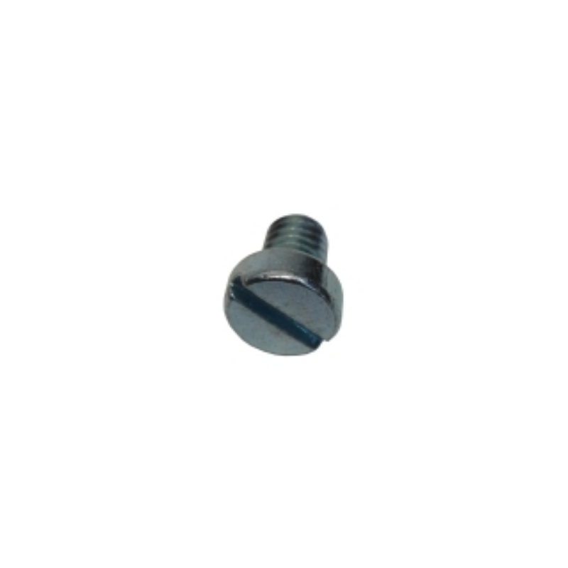 Tornillo din-84 m5x6 zn repagas