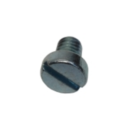 Tornillo din-84 m5x6 zn (2 unidades) repagas