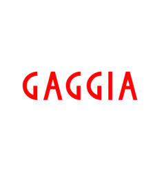 Lateral inferior izquierdo negro vetro gaggia