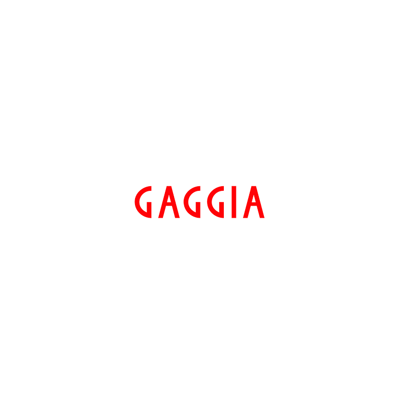Lateral inferior izquierdo negro vetro gaggia