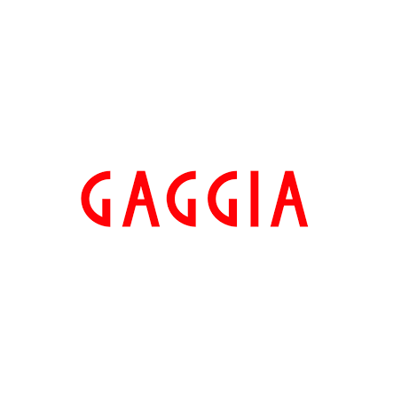 Lateral inferior izquierdo negro vetro gaggia