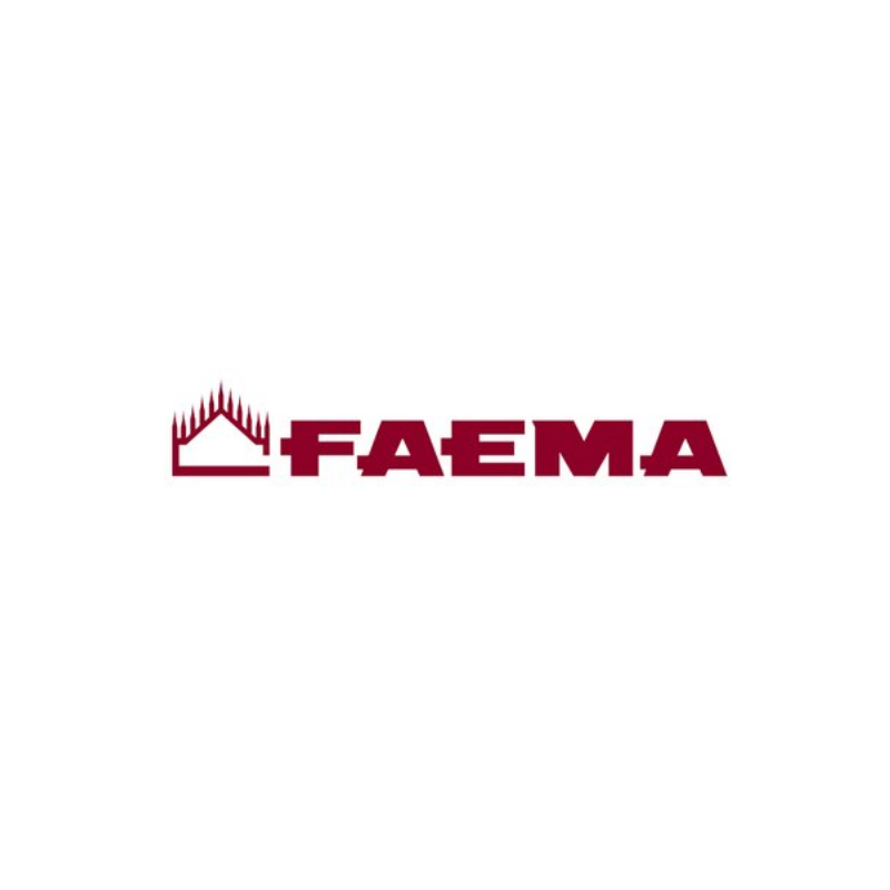 Muelle portafiltro emblema faema