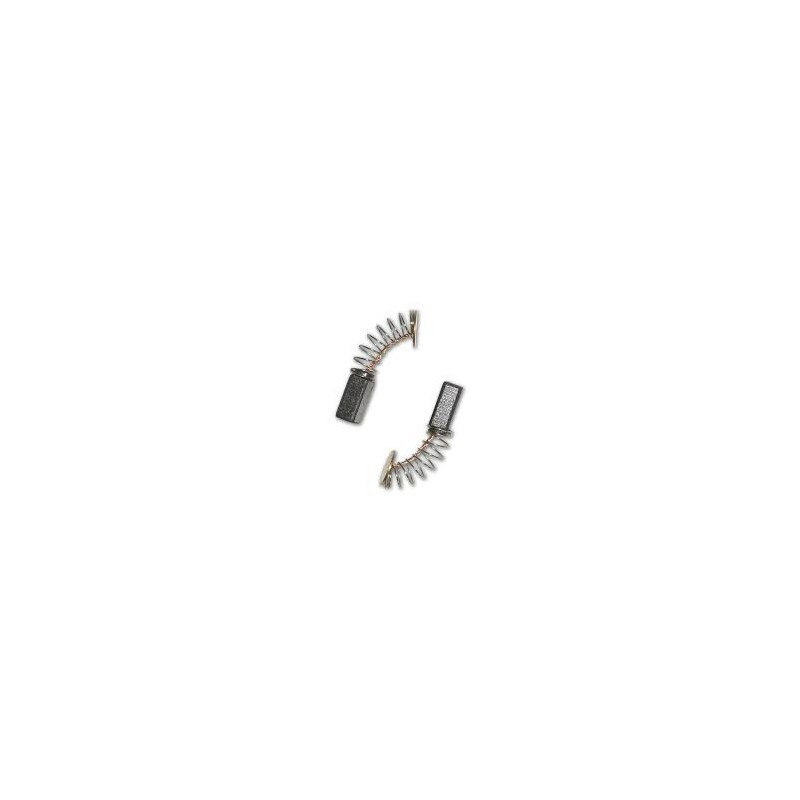 Kit escobillas tf-200/251  td-200/251 2uds IRIMAR