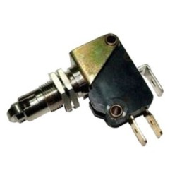 Microinterruptor Rulina 230V 10A Futurmat
