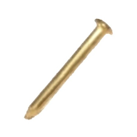 Pasador Cabeza Grifo Gaggia