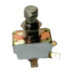 Microinterruptor grupo