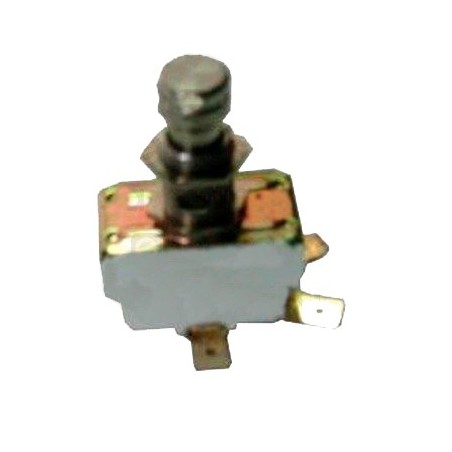 Microinterruptor grupo