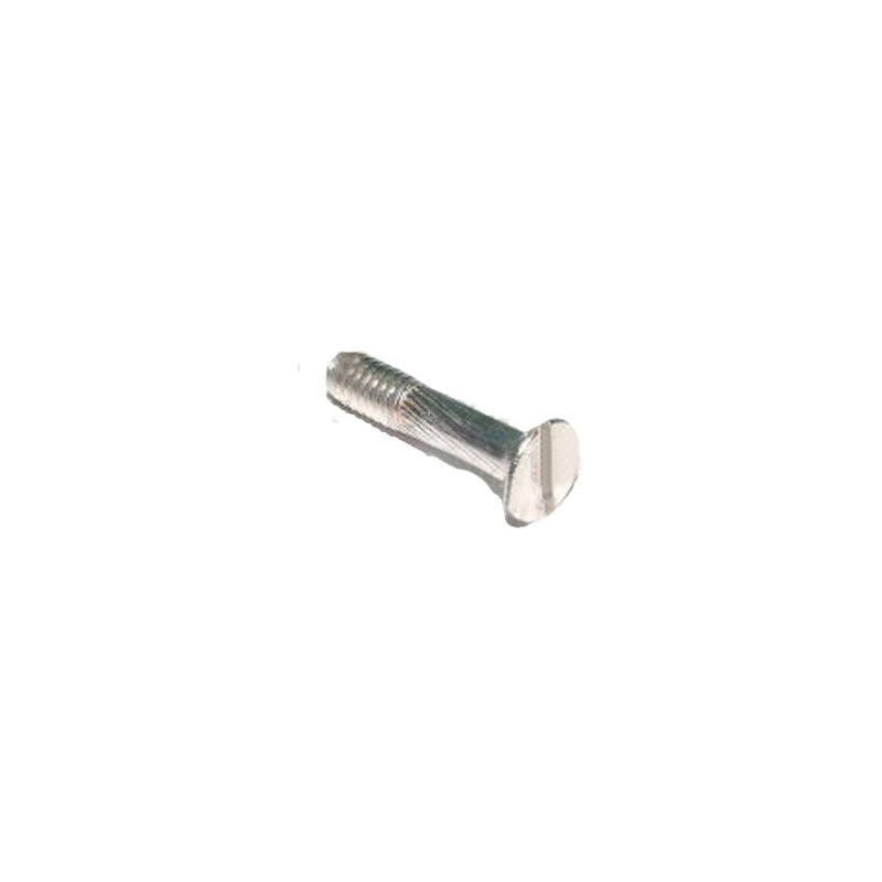 Tornillo inox m4x20 din-964 Gaggia (2 unidades)
