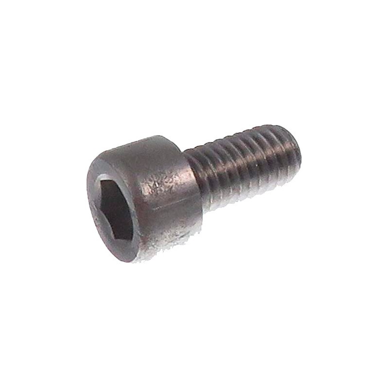 Tornillo m6x15 din-912 inox Gaggia (5 unidades)