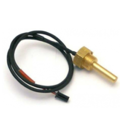 Sonda temperatura epoca Rancilio
