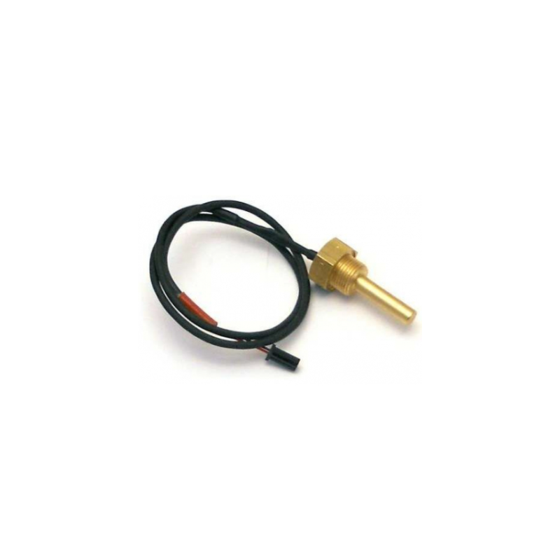 Sonda temperatura epoca Rancilio