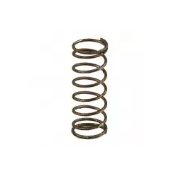 Muelle trinquete  2600 Gaggia
