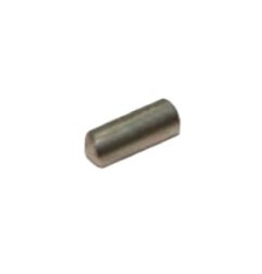 Perno 4x10 motor Anfim