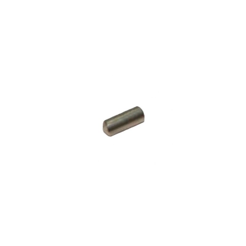 Perno 4x10 motor Anfim