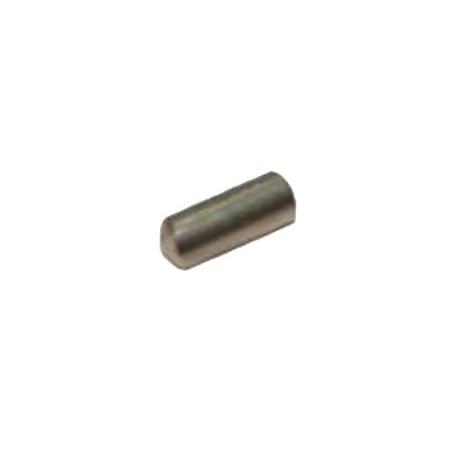 Perno 4x10 motor Anfim