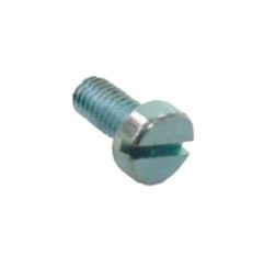 Tornillo m5x10 din-84 zn Varios Fabricantes (25 unidades)