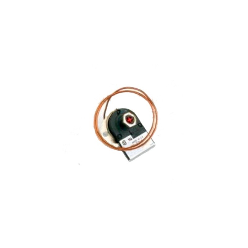 Termostato seguridad maquina cafe Rancilio