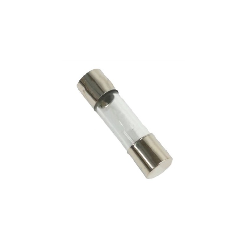 Fusible 0.6a 5x20mm Rancilio (10 unidades)