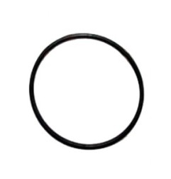 Junta torica sujeccion filtro Nuova Simonelli (2 unidades)