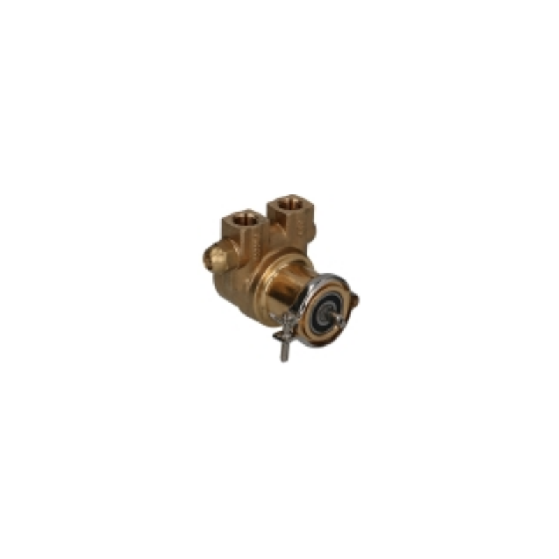 Bomba abrazadera 200l/hora
