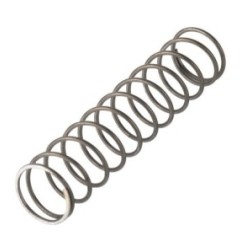 Muelle perno ( 2 unidades) Compak