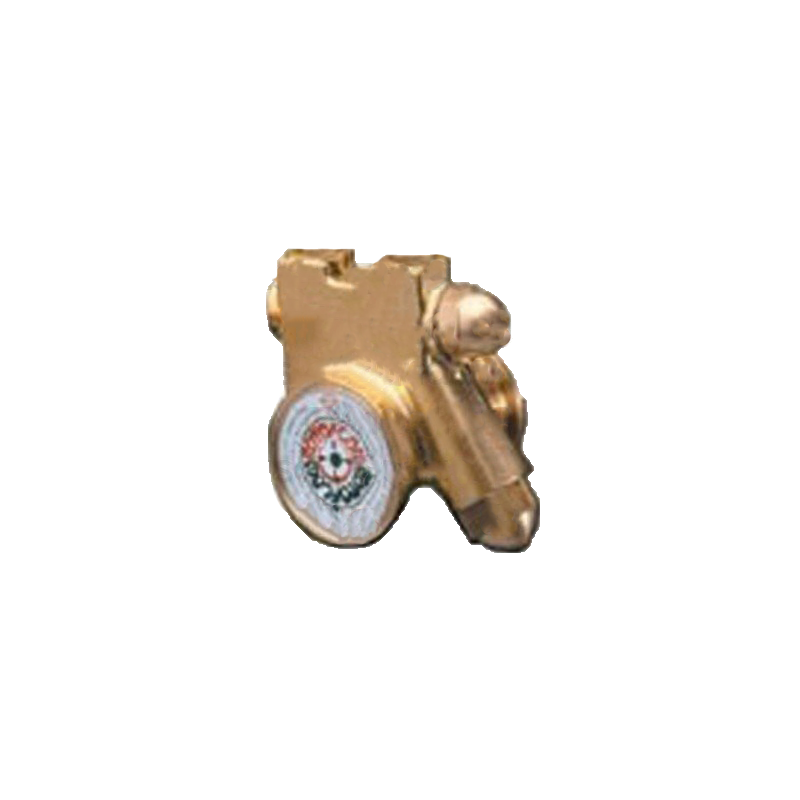 Bomba con filtro 300 l/hora rotoflow