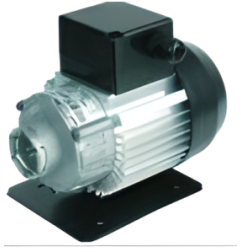 Motor Para Bomba Abrazadera 230V 50/60Hz 300W