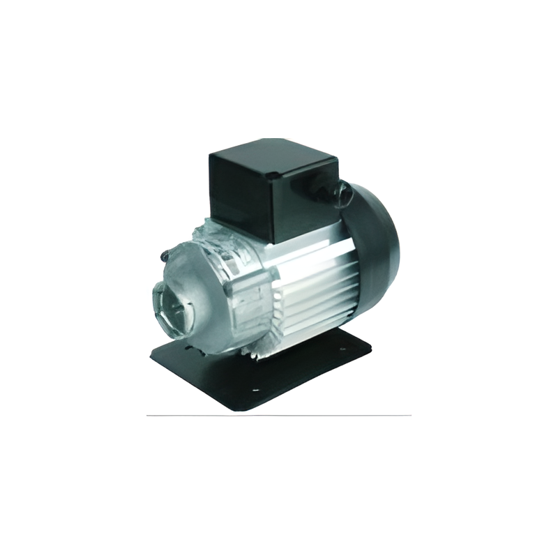 Motor Para Bomba Abrazadera 230V 50/60Hz 300W