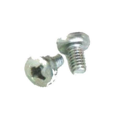 Tornillo din-7985 4x6 La San Marco ( 2 unidades )