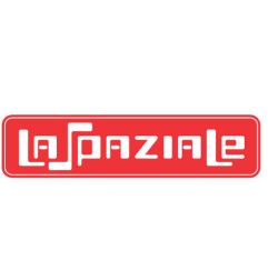 Frontal inferior trasero 3gr s5 la spaziale