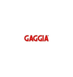 Panel trasero gris 2 grupos g6 GAGGIA