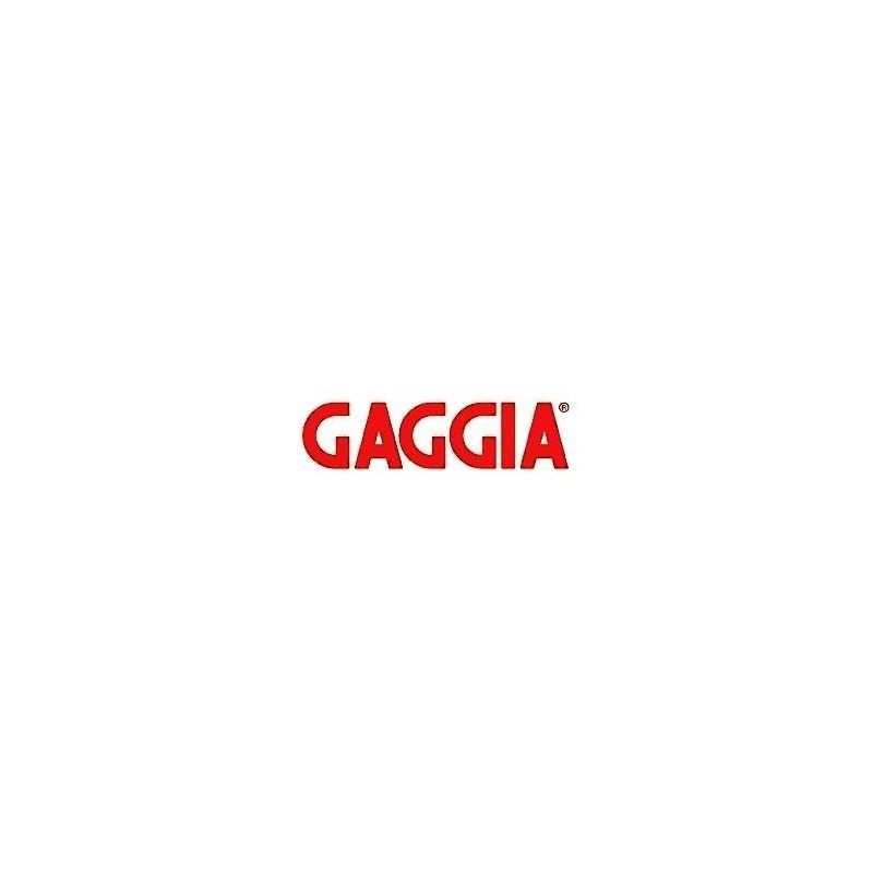 Panel trasero gris 2 grupos g6 GAGGIA