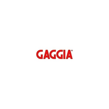 Panel trasero gris 2 grupos g6 GAGGIA