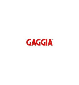 Panel trasero gris 2 grupos g6 GAGGIA