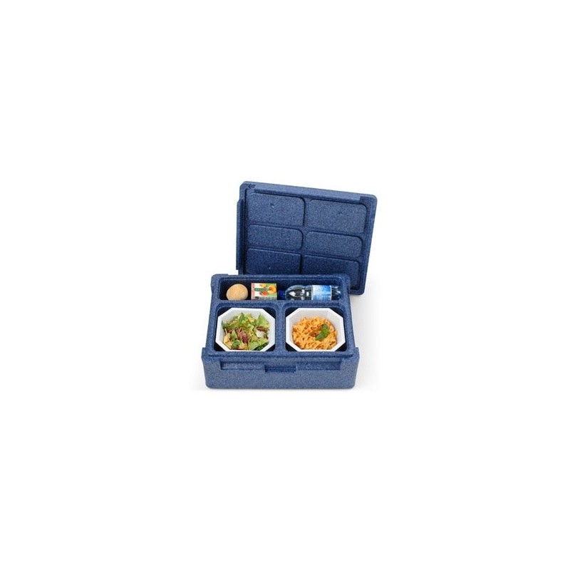 Contenedor isotÉrmico individual thermoking