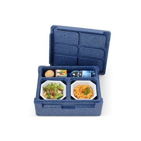 Contenedor isotÉrmico individual thermoking
