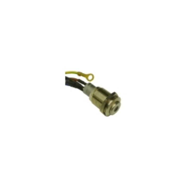Interruptor con cables 230v r80 Interruptor con cables 230v r80