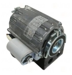 Motor Para Bomba 230V Ruby Pro 1/2GR
