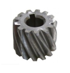 Rueda Dentada Fama
