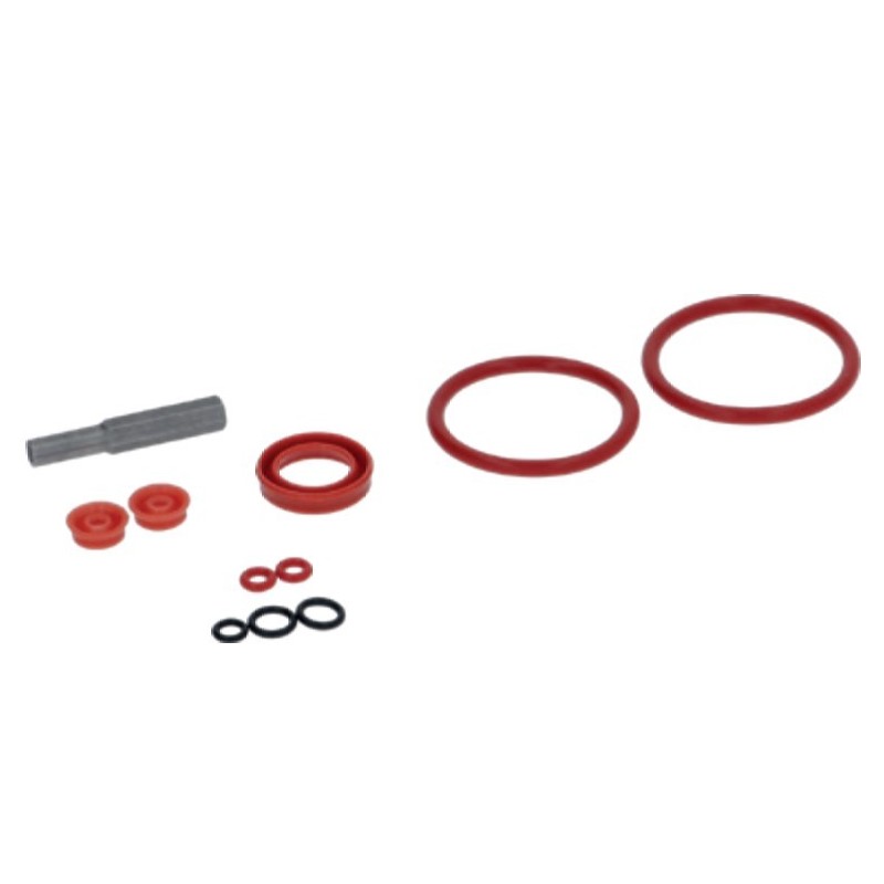 kit de reparación para entrada agua para con sello de labios con tapón de cabeza ovalada